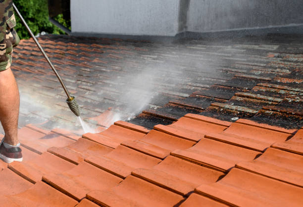 Deck Cleaning Services in Fern Prairie, WA